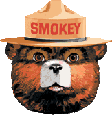 Smokey The Bear Photo